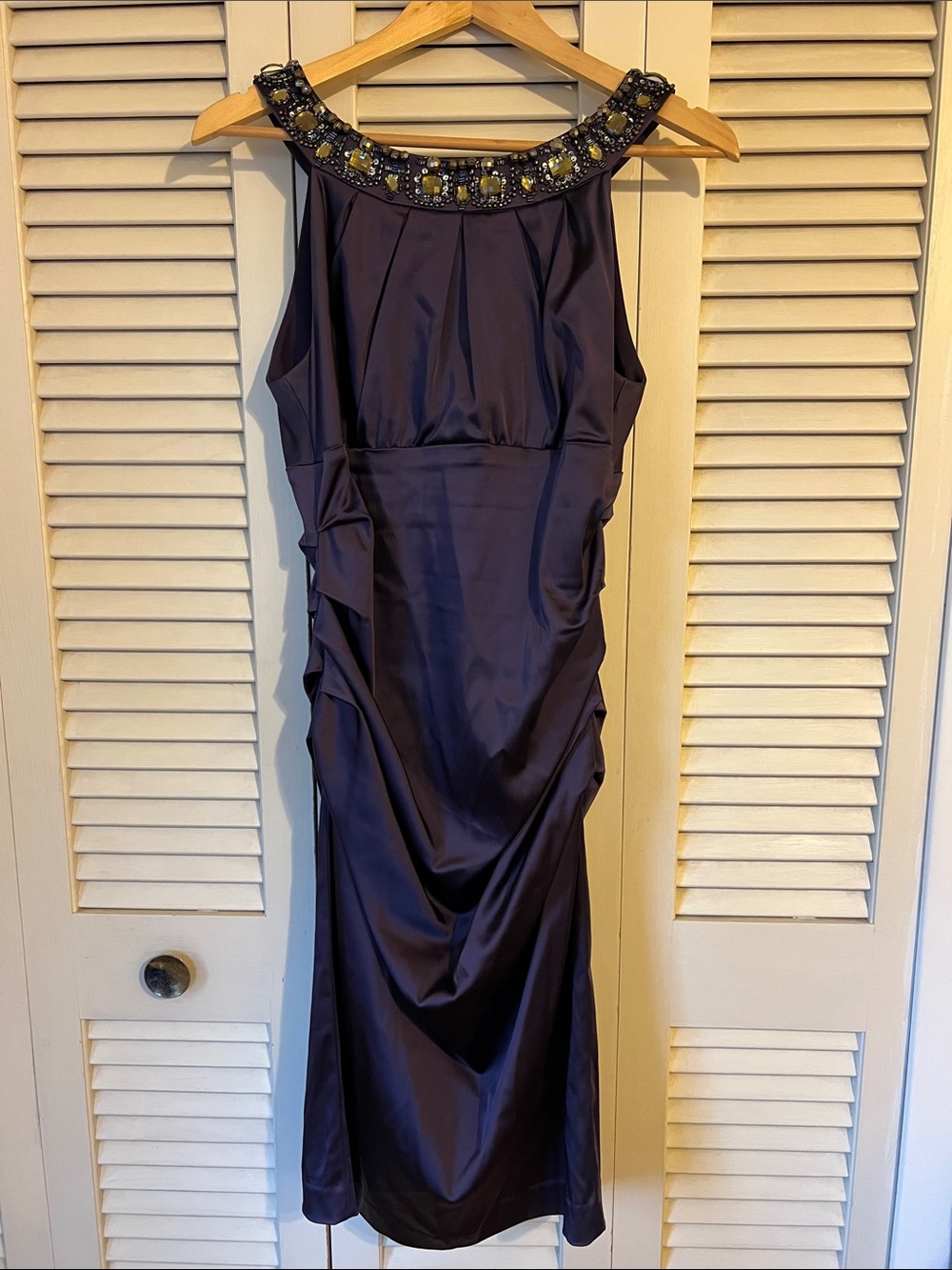 Exquisite Plum Dress Suzi Chin for Maggy Boutique